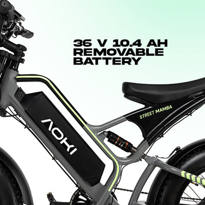48V 15.6Ah Removable Battery