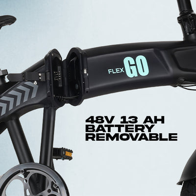 48V Removable Battery