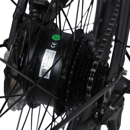 Lynx HT (Carbon Black)