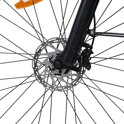 Lynx HT (Carbon Black)