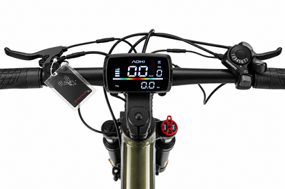 Sherpa M1 – Best Electric Mountain Bike in India | Mystic Green