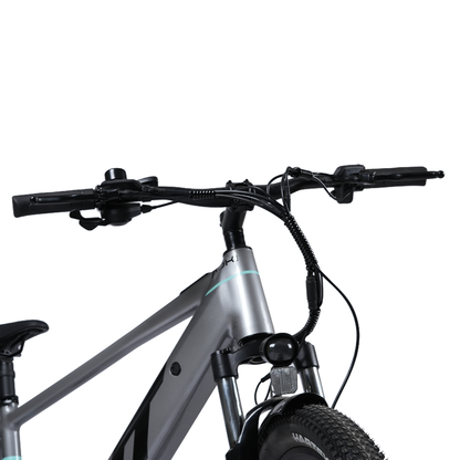 Lynx HT (Lunar Grey)
