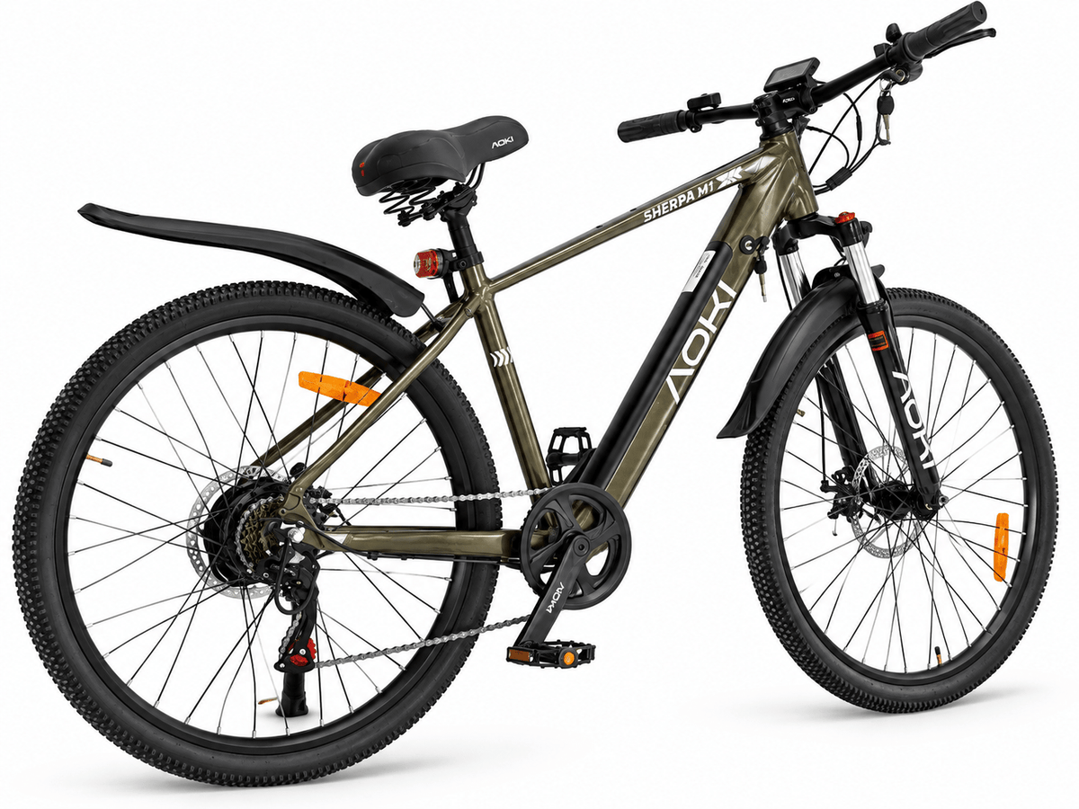 Sherpa M1 – Best Electric Mountain Bike in India | Mystic Green - Aoki