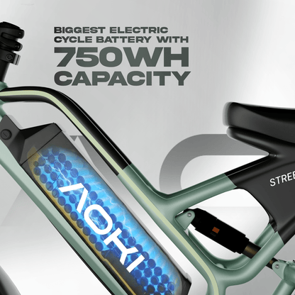 Street Mamba – Best Long Range Fat Tyre Electric Cycle in India | Vapor Green - Aoki